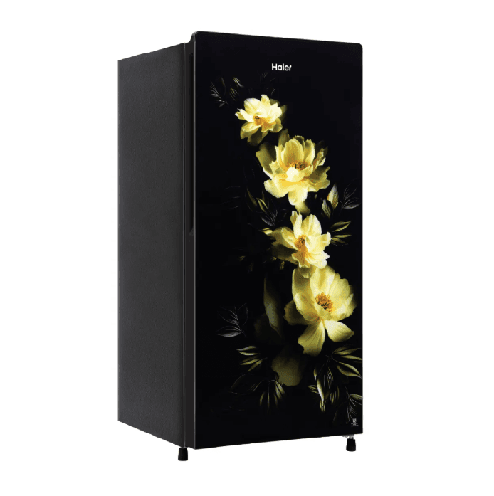 HAIER REF HRD-2061SCGA-N 185L preview 3