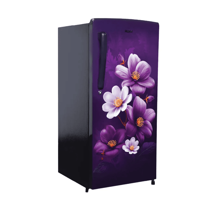 HAIER REF HRD-2061SPAA-N 185L preview 2
