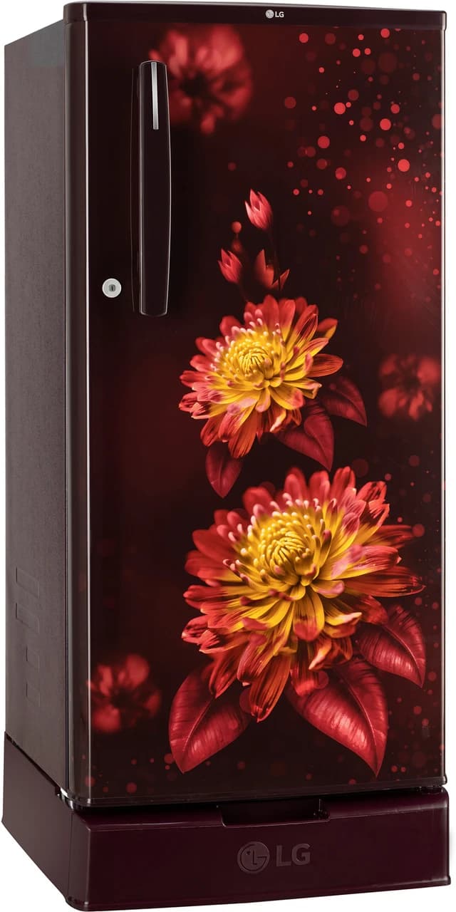 LG REF GLD1925WORB preview 3