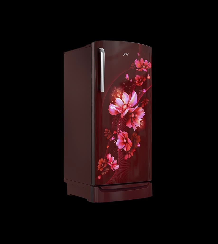 GODREJ 184 L SINGLE DOOR REFRIGERATOR RD EMARVEL 207CN TDF AT WN preview 2