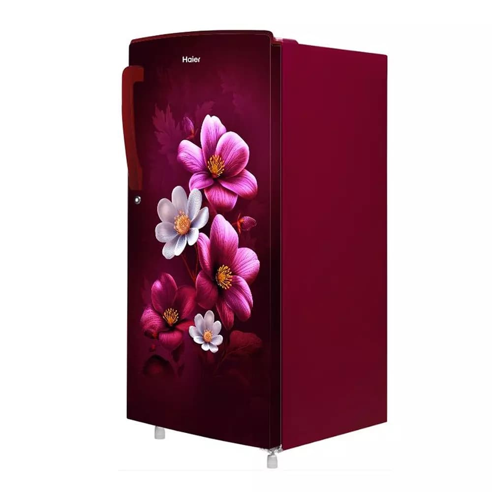 HAIER 185 L SINGLE DOOR REFRIGERATOR HRD-2061SRAA-N preview 2