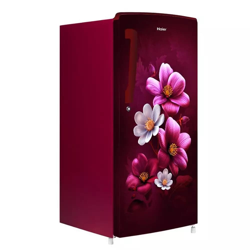 HAIER 185 L SINGLE DOOR REFRIGERATOR HRD-2061SRAA-N preview 3
