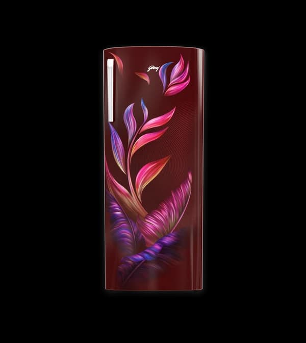Godrej 268L 3 Star single door refrigerator with Direct Cool technology and toughened glass shelves in Furano Wine