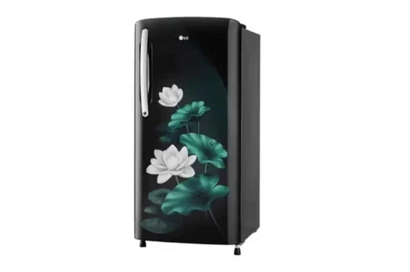 LG 201L 3 Star single door refrigerator with Smart Inverter Compressor, Direct Cool and Moist N Fresh Box